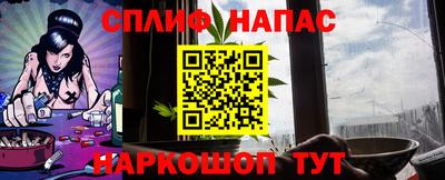 Альфа ПВП Будённовск